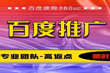 行业领先企业的SEM代理案例剖析
